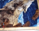 Puppies 22052015 B (800x502)
