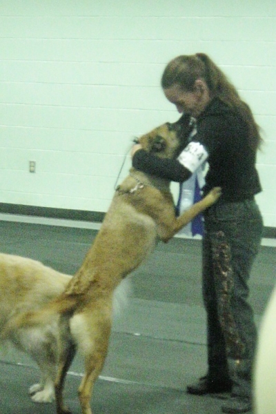 Stephanie and Nova after earning a perfect 200 score in Novice B. Training Philosophy